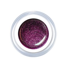Gel de couleur Glitter Purple