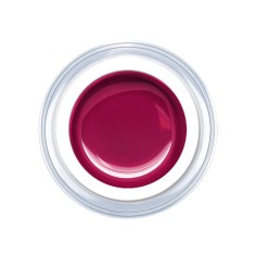 Gel de couleur Plum