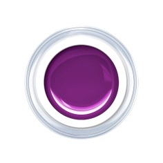 Gel de couleur Pure Grape