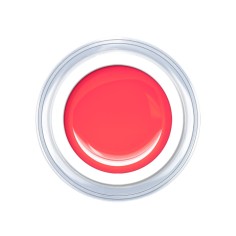 Gel de couleur Pure Blash