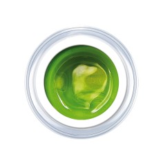 Gel de couleur Spring Green