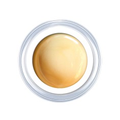 Gel de couleur Pearly Beige