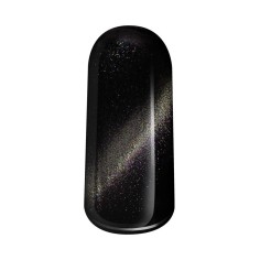gel de couleur cat eye 5D magic