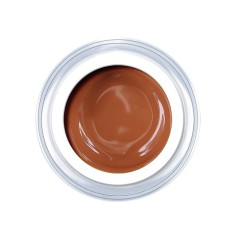 Gel de couleur Nude Skin Rose