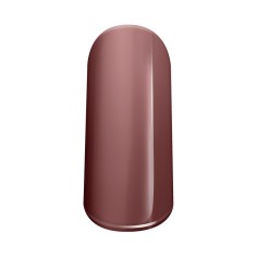 Gel de couleur Pur Beaver 2