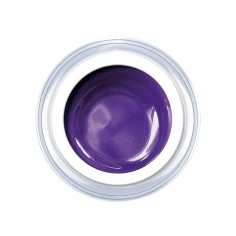Gel de couleur Pearly Light Indigo