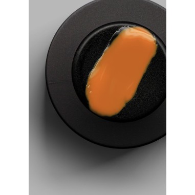 Vernis semi permanent TONILAC NOBLESSE N°169 10 ML