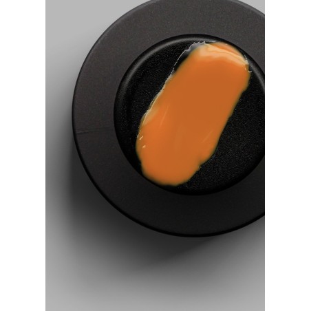 Vernis semi permanent TONILAC NOBLESSE N°169 10 ML