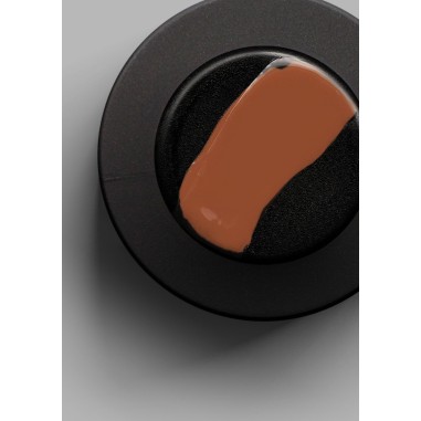 Vernis semi permanent TONILAC NOBLESSE N°170 10 ML