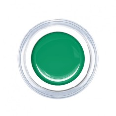 Gel de couleur Salem