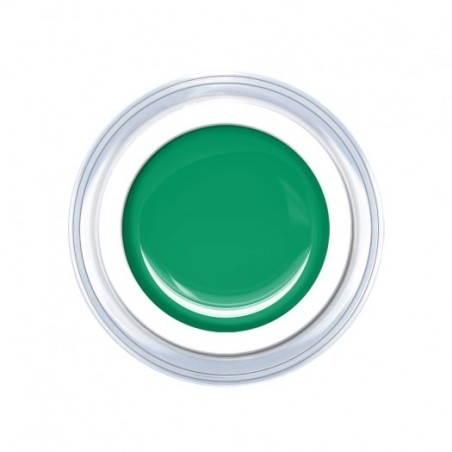 Gel de couleur Salem