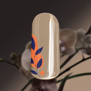 Gel de couleur Powder Nude