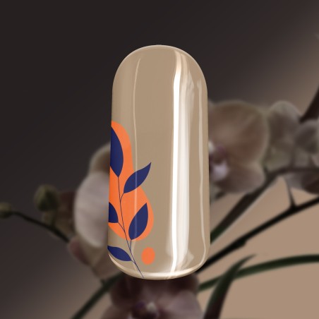 Gel de couleur Powder Nude