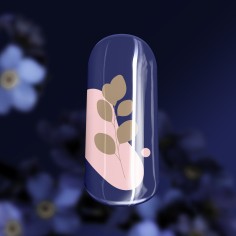 Gel de couleur Royal Blue 2