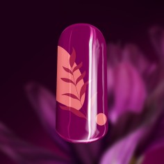 Gel de couleur Purple Calla 2