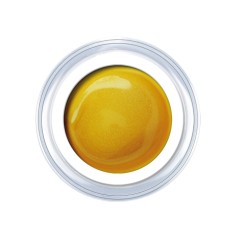 Gel de couleur GOLD Sunny