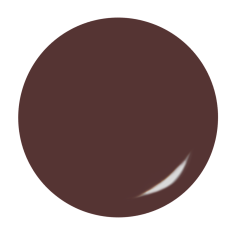 Gel de couleur Walnut 2