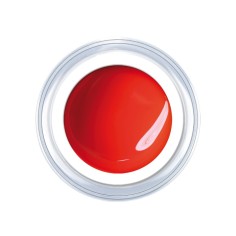 gel de couleur Tia Maria