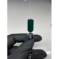 Gel de couleur fir tree 2