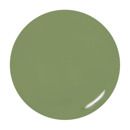 Gel de couleur Olive
