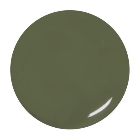 Gel de couleur Olivia