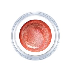 Gel de couleur Sparkle Carissma