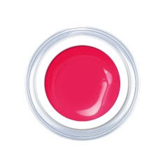 Gel de couleur SUGAR New York