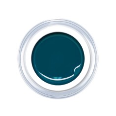 Gel de couleur Casal